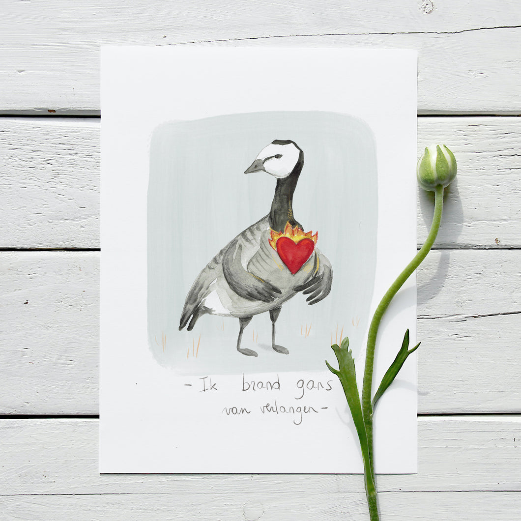 Postkaart Gans